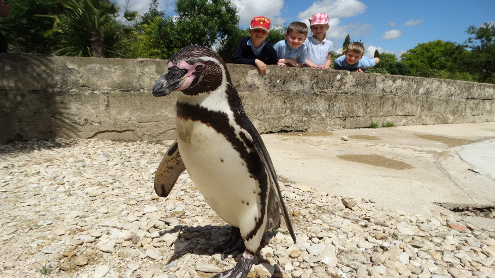 Cheltenham Cotswold Wildlife Park and Gardens